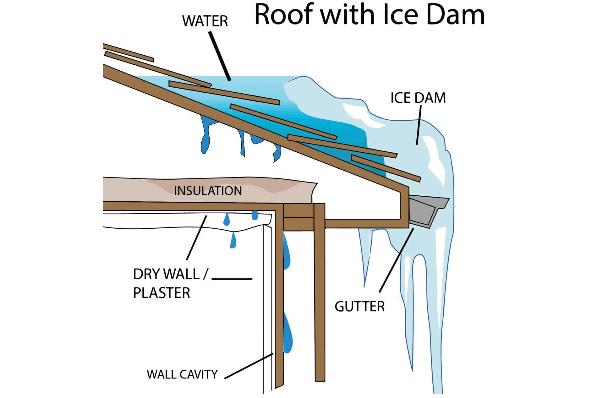 Navigate to section: What Causes Ice Dams to Form?