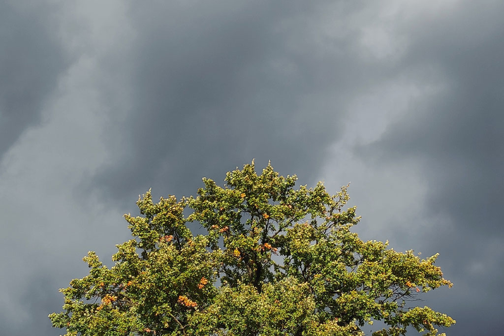 Weather Matters