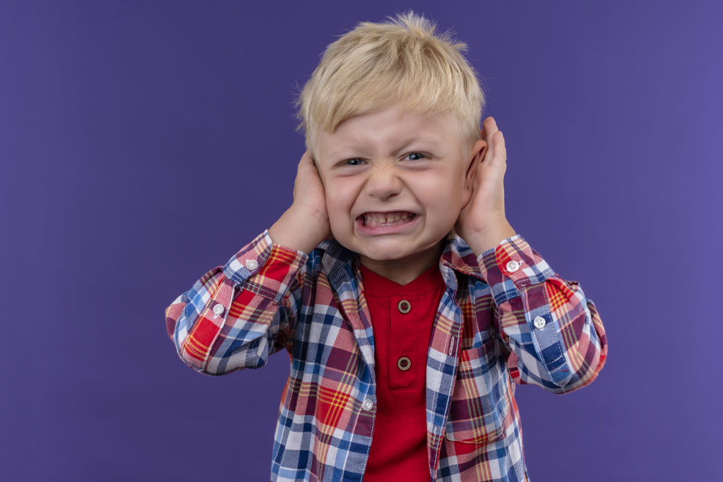 Myth #2: Metal Roofs Are Noisy