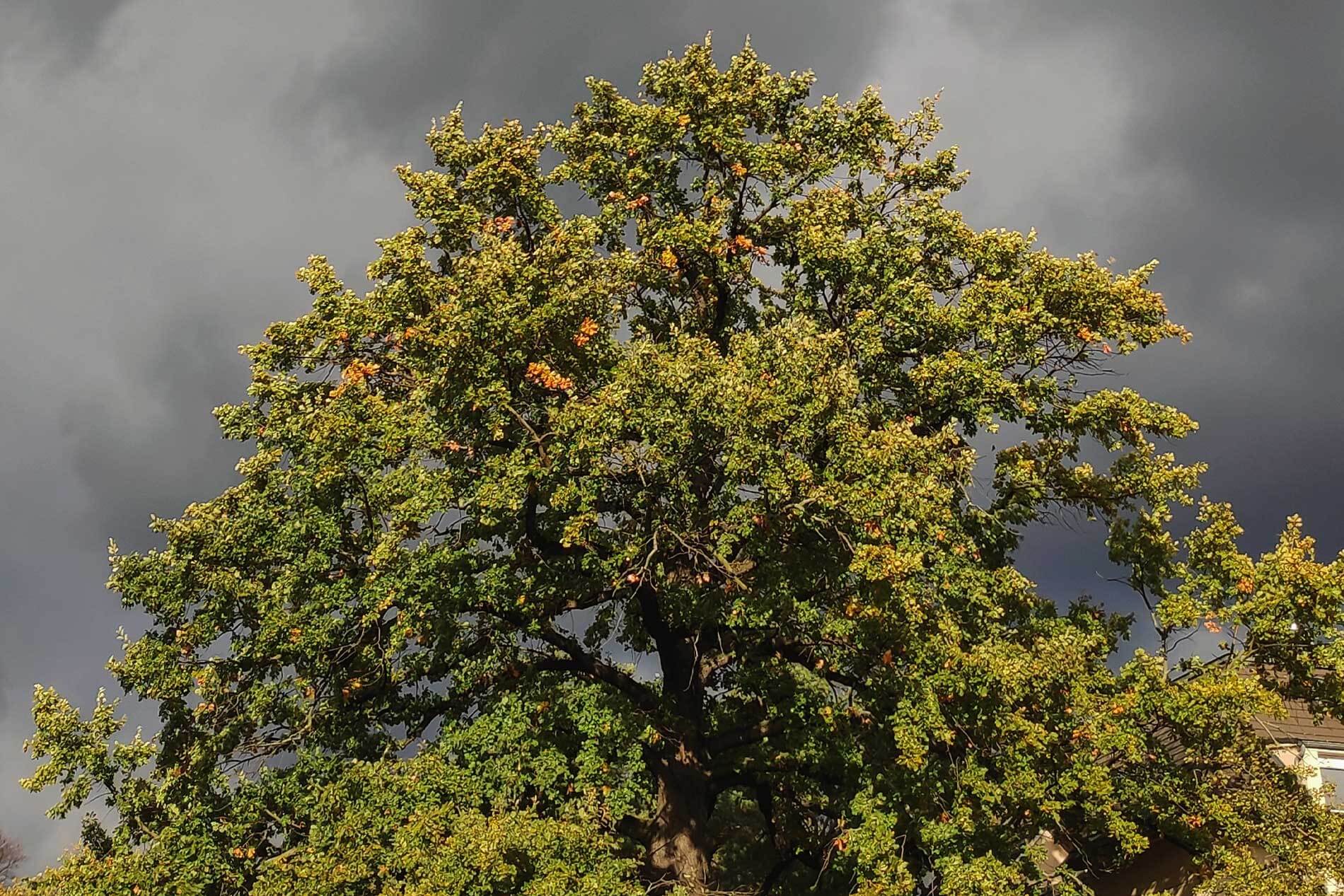 Navigate to section: Weather Matters